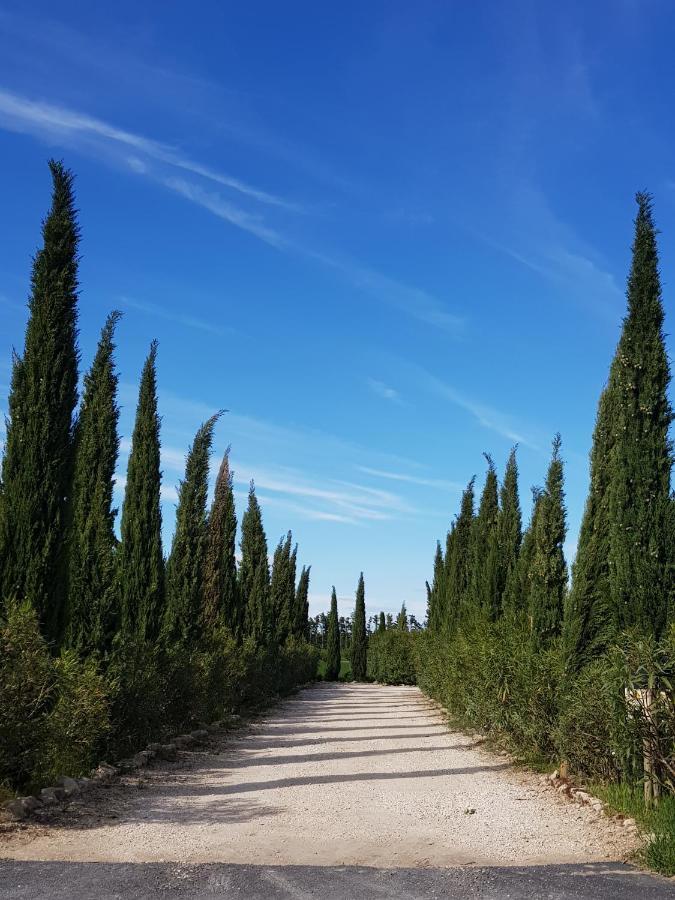 Le Mas Saint Jean Mézoargues Eksteriør billede